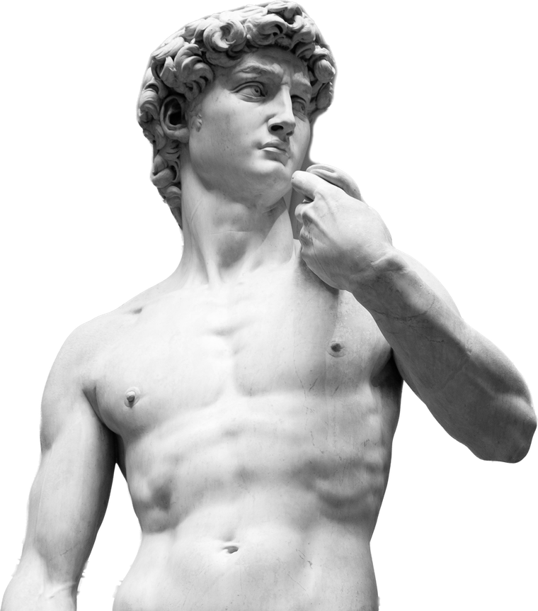 Michelangelo's David