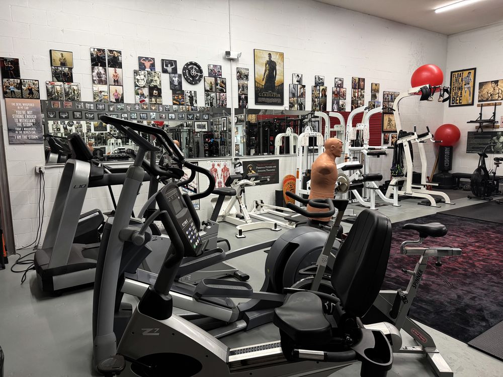 Cardio equipment and the striking dummy