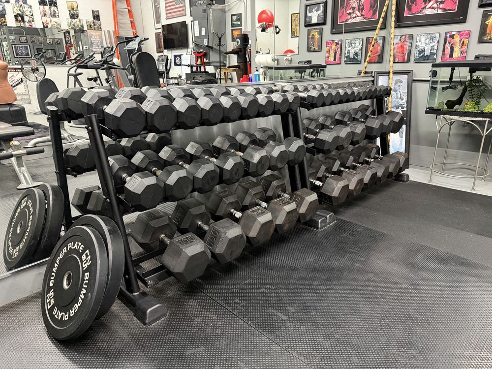 Rubber hex dumbbells racked from 5 to 100 pounds